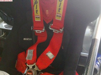 Arneses sabelt 6 puntos 