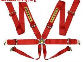 Vendo arneses savelt de 6 puntos (hom. hasta 2012)
