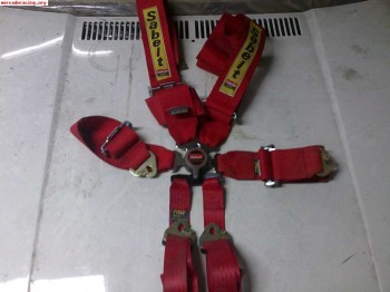 Arneses sabelt 6 puntos anchos 