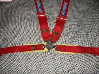 Arnes omp ancho caducado 