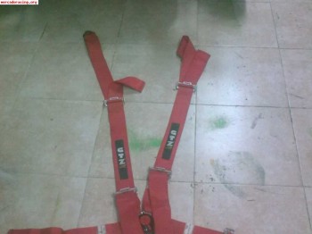 Arneses no homologados 