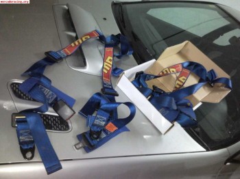 Pareja de cinturones 100e