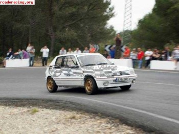 Peugeot 205 gti de rally(despiece)