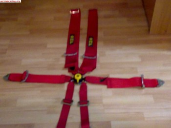 Arneses omp 6 puntos