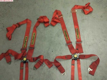 Se venden 2 arneses sabelt 6 puntos recien caducados 140€