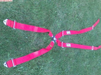 Arneses omp 4ptos homol. hasta 10-2011