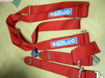 Compro pareja de arneses de 4 puntos