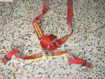 Vendo arneses caducados marca sabert a 50 € cada uno.