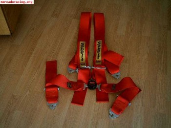 Arnes sabelt 3" 4 puntos color rojo