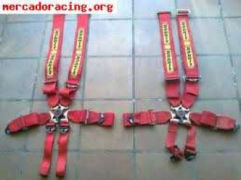 Arnes sabelt 6 puntos