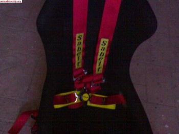 Baquet sabelt fibra y arnes