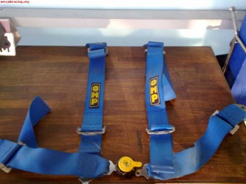 Arnes 4 puntos caducado