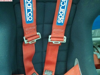 Arneses 4 puntos homologados