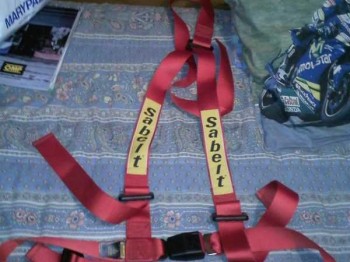 Vendo arnes rojo de calle sabelt 3 puntos