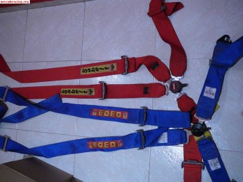 Se venden 2 arneses caducados de 4 puntos