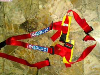 Arnes sparco homologado calle