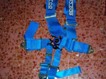 Busco pareja de arneses sabellt 6p.