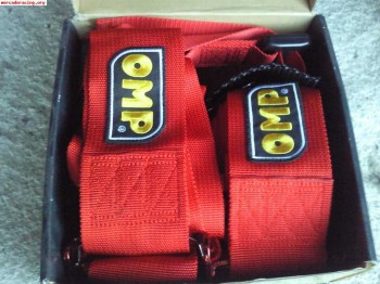 Arnes 4 puntos para regularidad