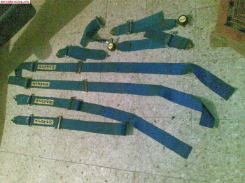 Se venden arnes sabelt