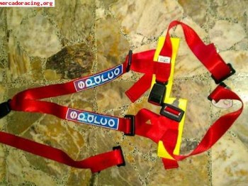 Arnes sparco de calle