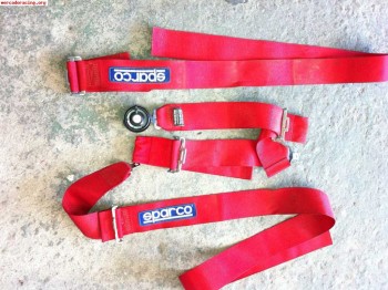 Arnes sparco 4 puntos y llantas