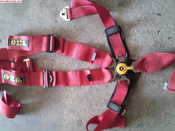 Vendo cuatro arneses