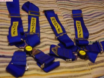 Arneses anchos marca sabelt