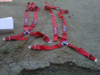 Pareja de arneses 120e