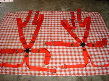 2 arneses 6 puntos homologacion vigente hasta 31/12/2013