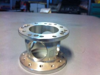 Se vende piña omp  25€