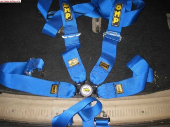 Vendo arnes homologado