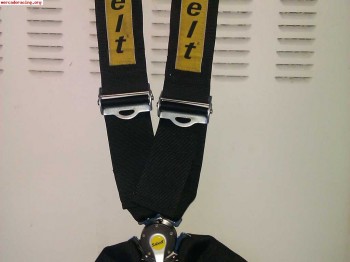 Arnes sabelt 6puntos. impecable!!!!!