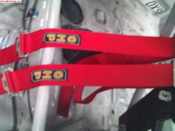 Se venden arneses omp