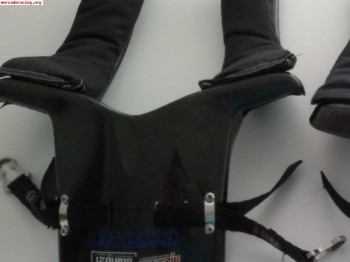 Hans santd 21 carbono