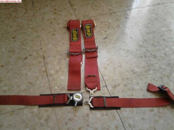 Arnes omp 4puntos caduca este año