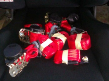 Cinturones rojos 100€