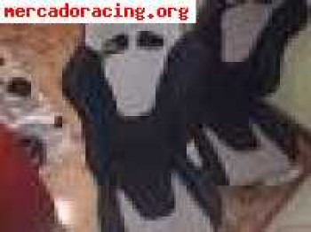 Semi bakes bc corona  chollo de precio