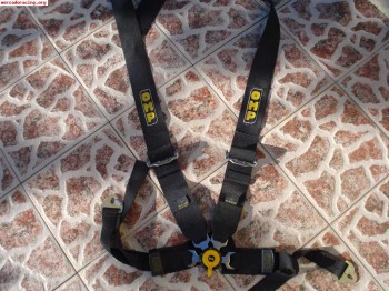 Arneses omp caducados
