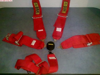 Se vende arnes homologado