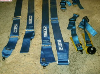 Arneses sparco anchos homologado 