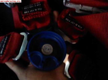 Oferta, baket y arnes