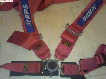 Venta arnes homologado 2013 rojo