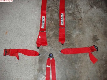 Arneses anchos 6 puntos hasta 2016 100€