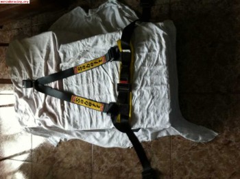 Arneses sabelt calle