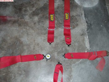 Arnes anchos omp 6 puntos 80€