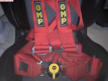 Venta 2 arneses omp anchos