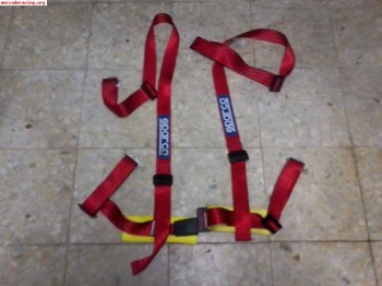 Arnes sparco de calle