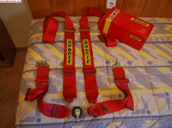 Arnes sabelt 4 puntos caducado 2010