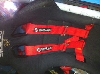 Se venden arneses belt