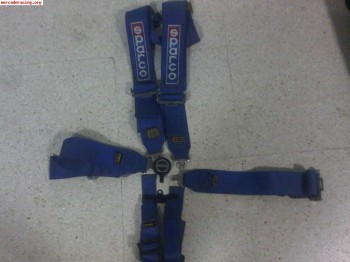 Arnes caducado sparco azul ancho